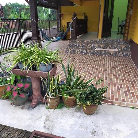 Rumah Tumpangan Di Kuala Terengganu, Terengganu Homestay D Εξωτερικό φωτογραφία