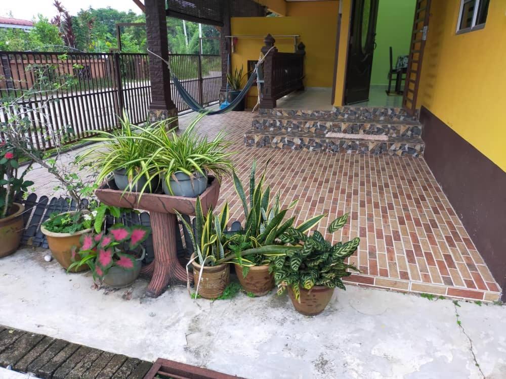 Rumah Tumpangan Di Kuala Terengganu, Terengganu Homestay D Εξωτερικό φωτογραφία